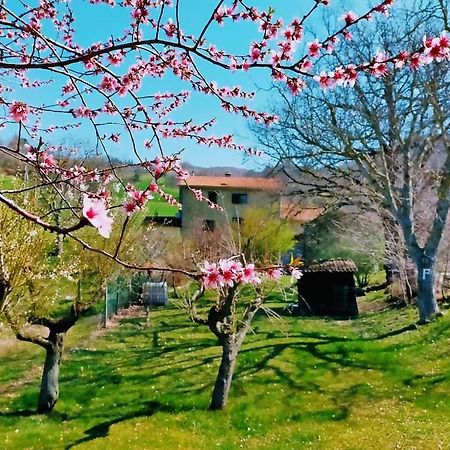 B&B Luna E Stelle Premilcuore Zewnętrze zdjęcie