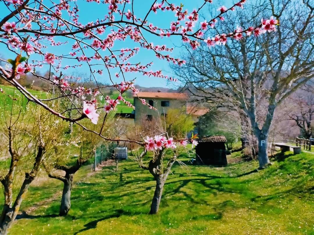 B&B Luna E Stelle Premilcuore Zewnętrze zdjęcie