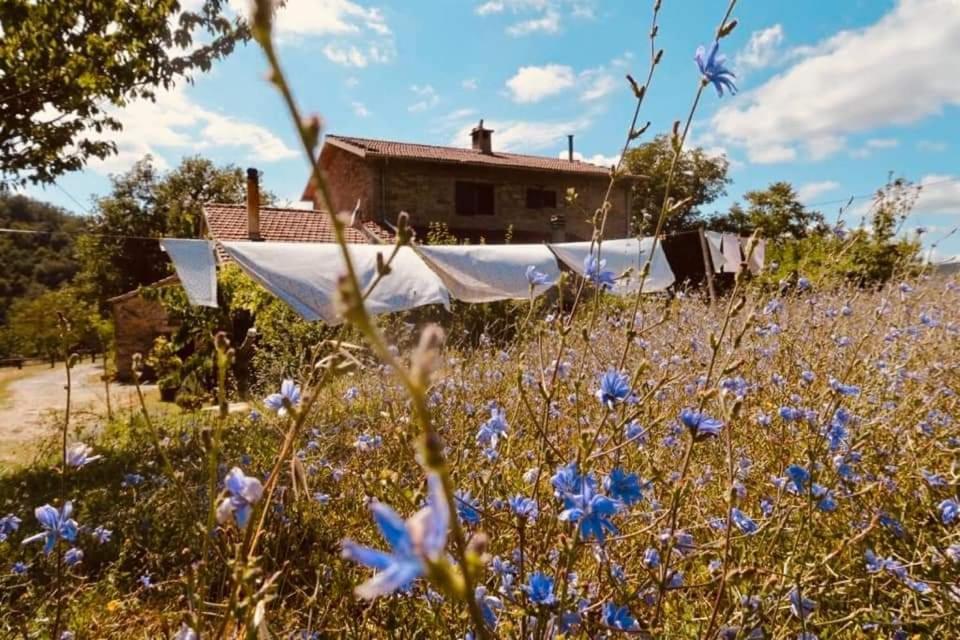 B&B Luna E Stelle Premilcuore Zewnętrze zdjęcie