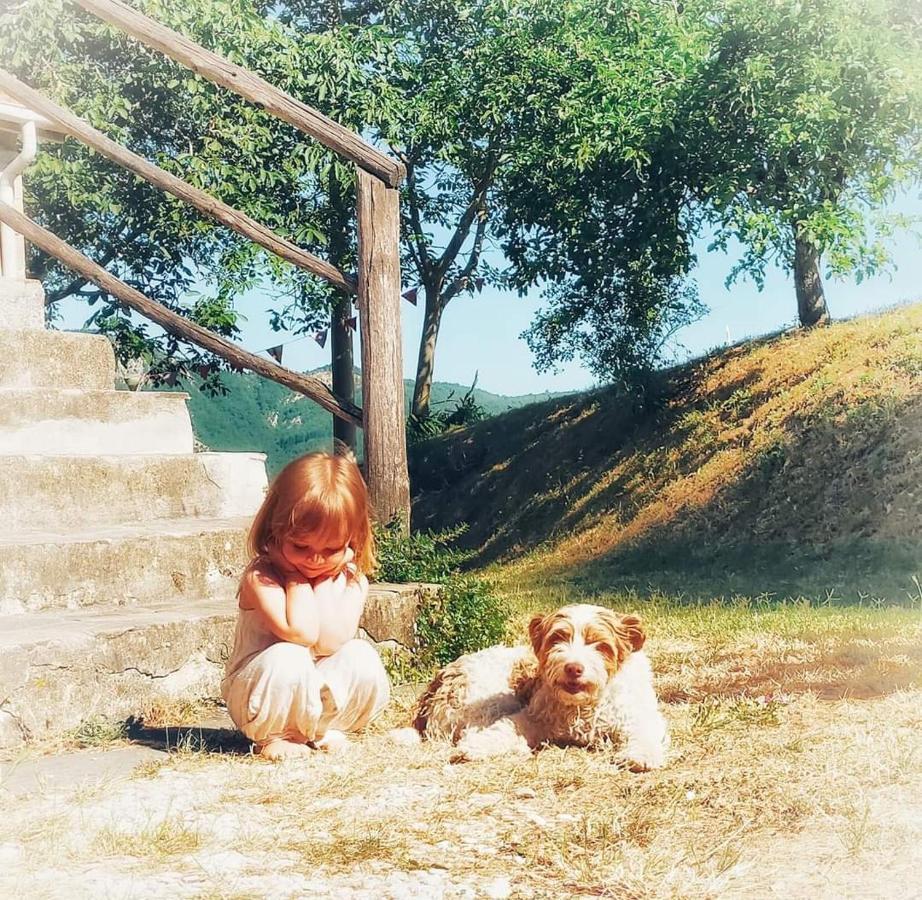 B&B Luna E Stelle Premilcuore Zewnętrze zdjęcie