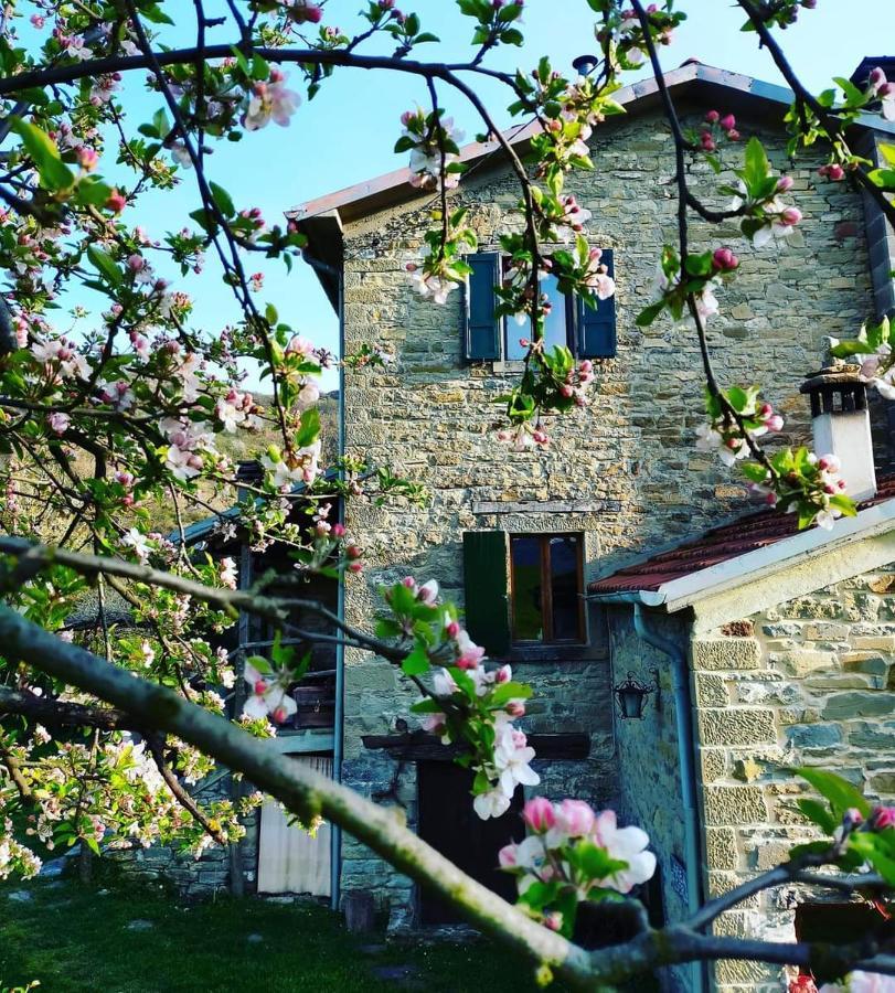 B&B Luna E Stelle Premilcuore Zewnętrze zdjęcie